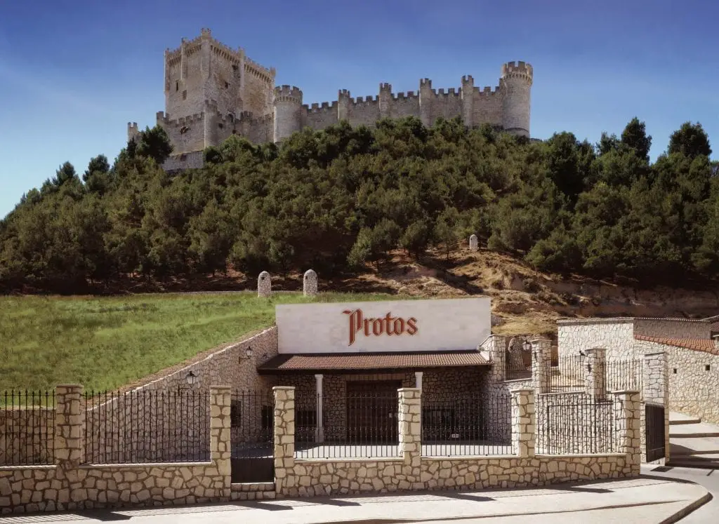 Vinos Protos 
