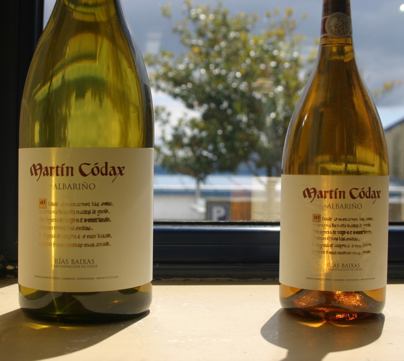 Vino Albariño: Rey de los Vinos Blancos (Caracteristicas, Maridaje y más)