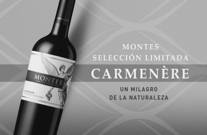 Vino Carménere: Exquisito tinto de origen chileno