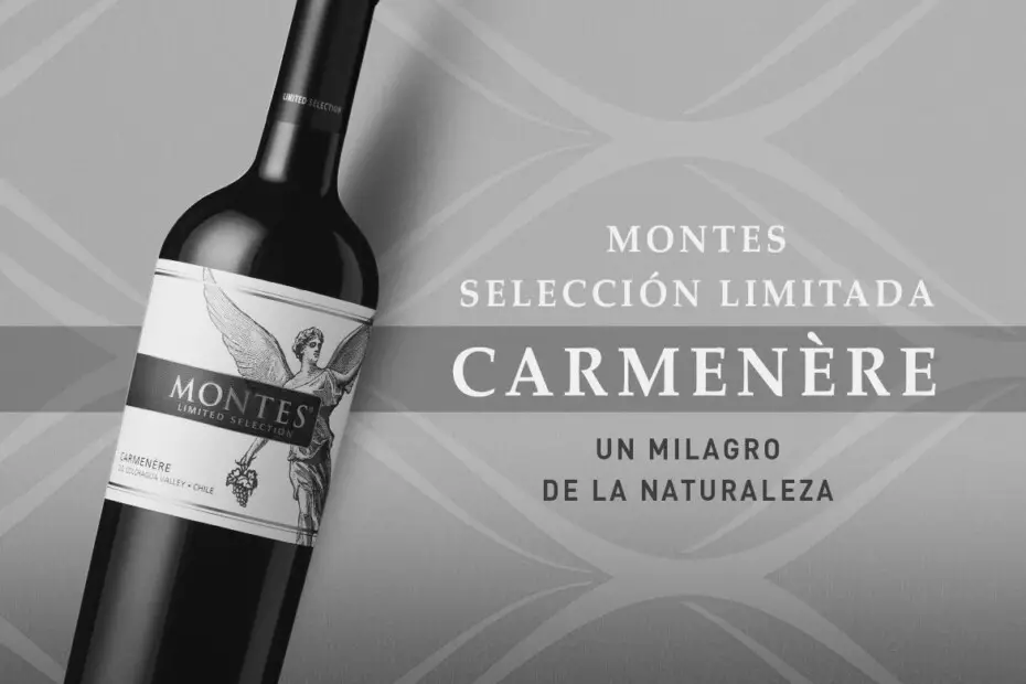 Vino Carménere: Exquisito tinto de origen chileno