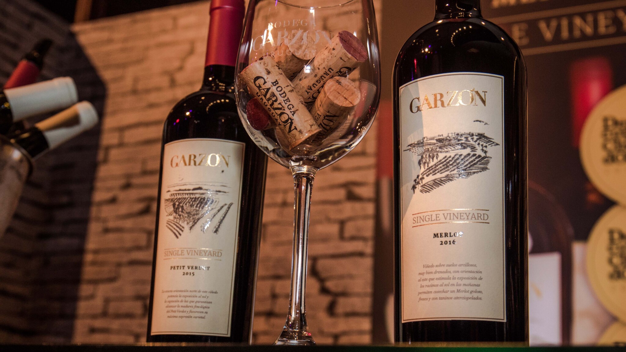 Vino Merlot Tinto con sabores perfectos para el maridaje ¿Cómo Maridar?