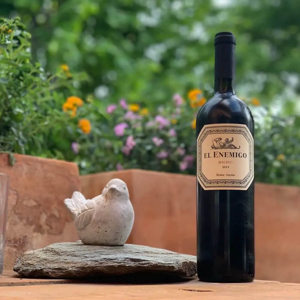 Vino Malbec El TINTO que enamora a la Argentina ¡MEJORES PRECIOS!