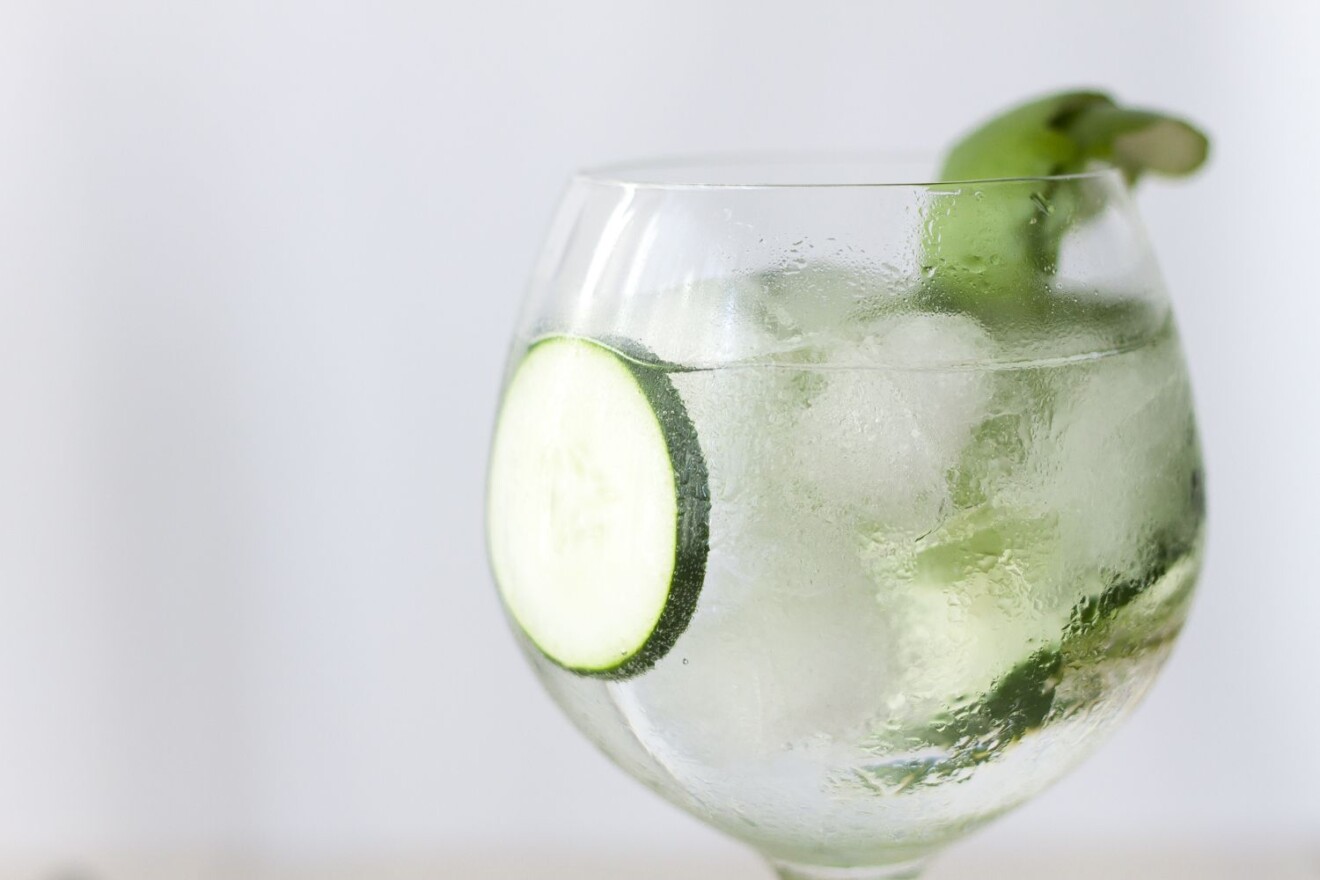Cocktail Gin tonic ¿Cómo hacer? Recetas e Ingredientes (Origen)