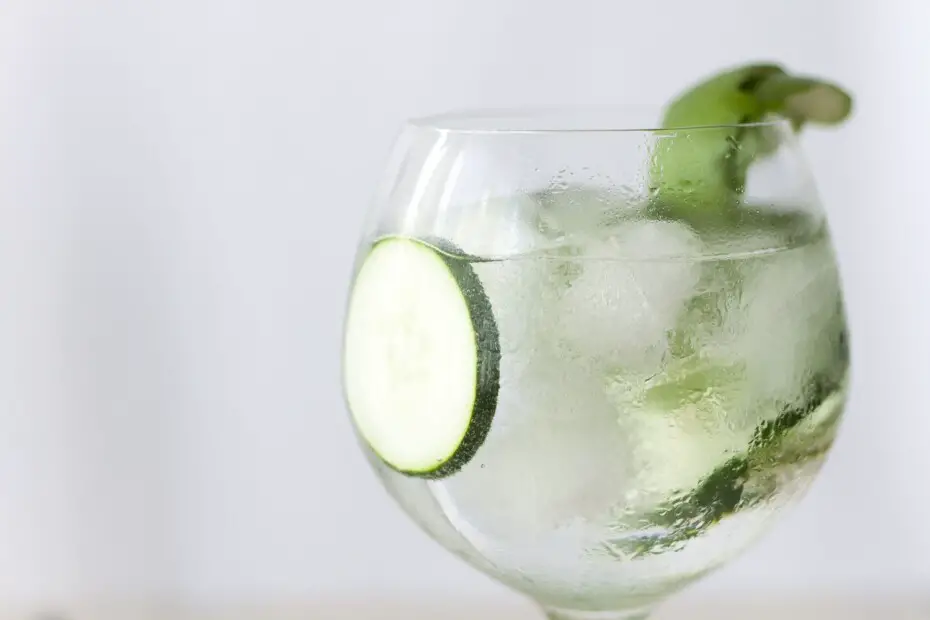 Cocktail Gin tonic ¿Cómo hacer? Recetas e Ingredientes (Origen)