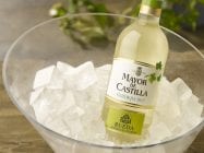 Vino verdejo