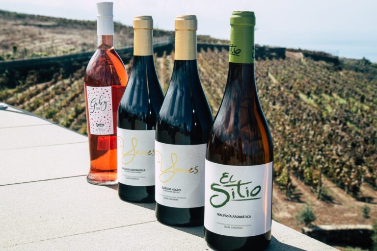  11 Mejores Vinos Canarios Donde Comprar Y Su Valor Caracteristicas 