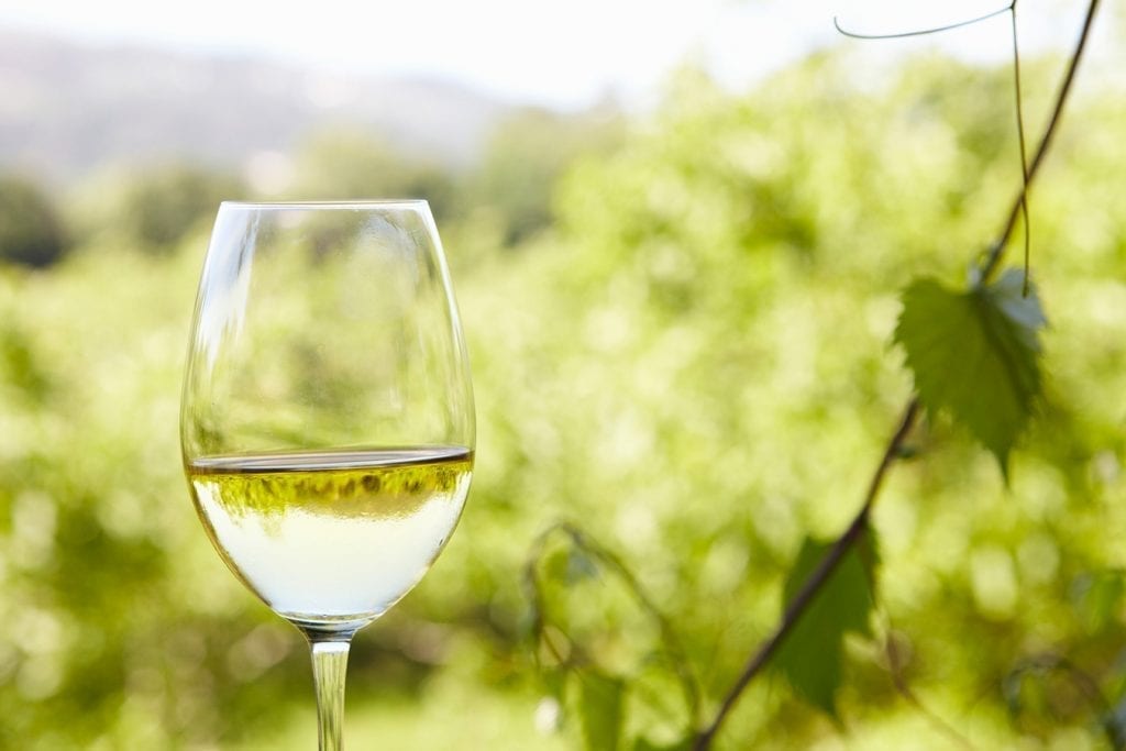 Origen e Historia del Vino Blanco Seco