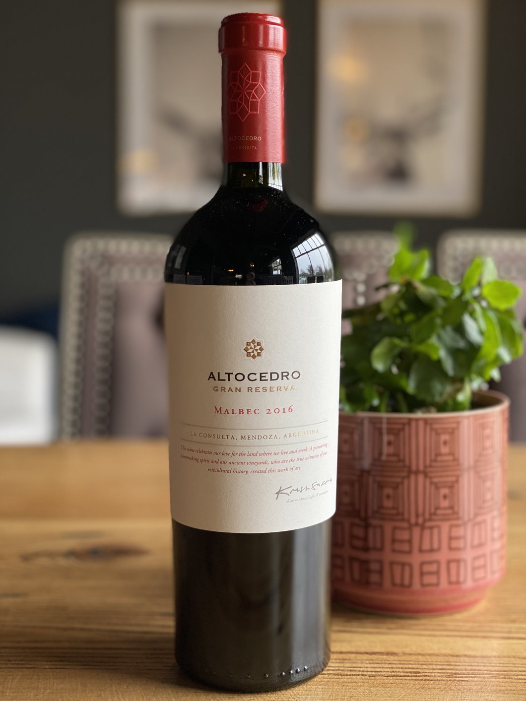 +11 Melhores Vinhos Argentinos (Características, Preços, Origem e História)