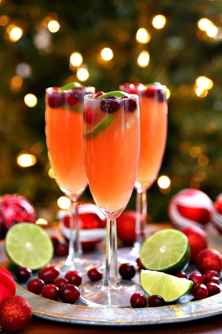 deliciosos-c-cteles-navide-os-recetas-e-ingredientes-para-las-fiestas