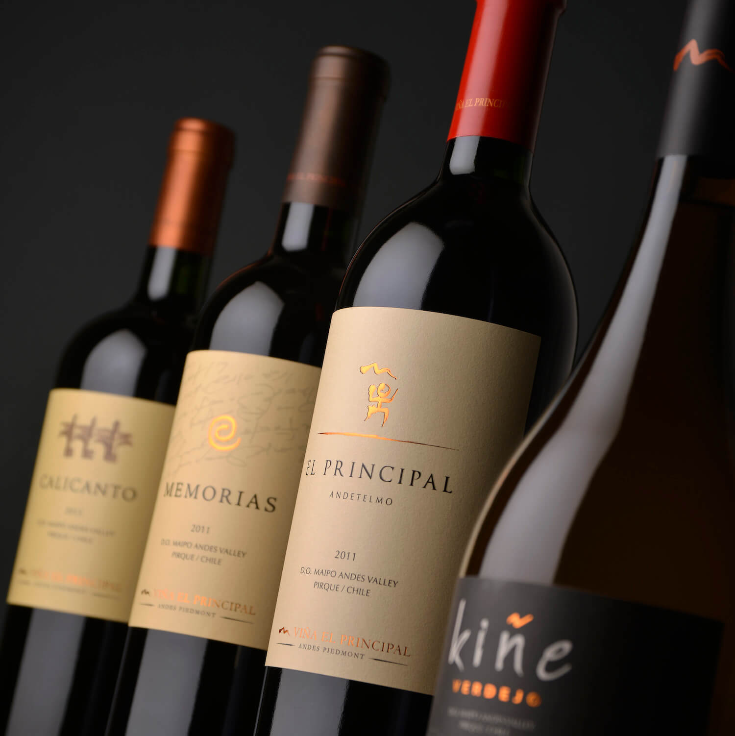 +10 Melhores Vinhos Chilenos (Características - Preço - Qualidade e mais)