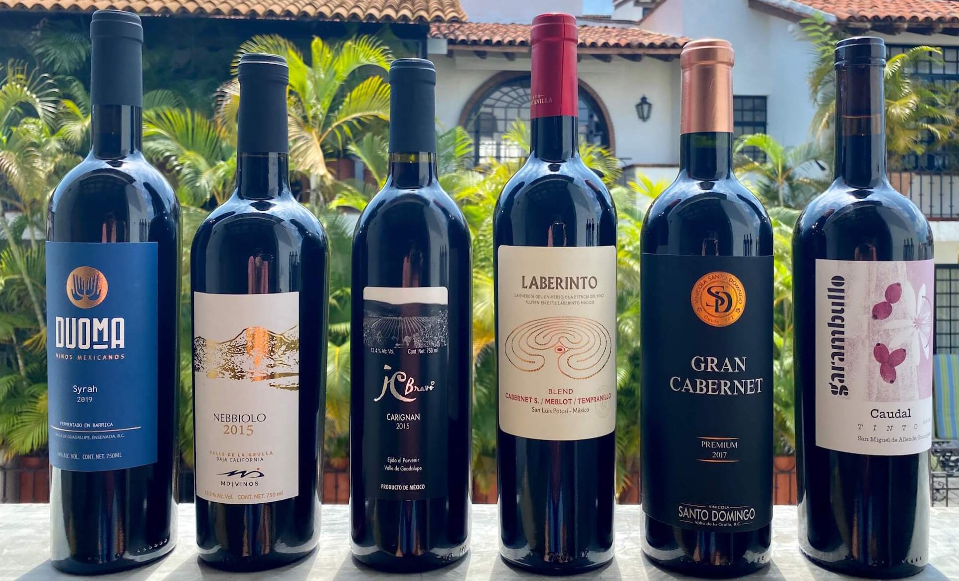 +10 Vinos Mexicanos ¿Cuales son los mejores en 2020? Calidad - Precio