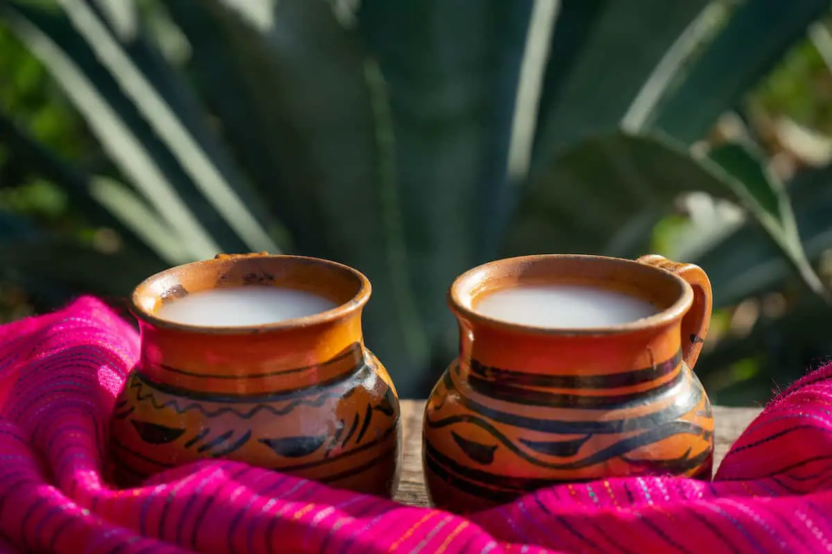 Pulque O que é? O elixir dos deuses pré-hispânicos! Tipos e mais