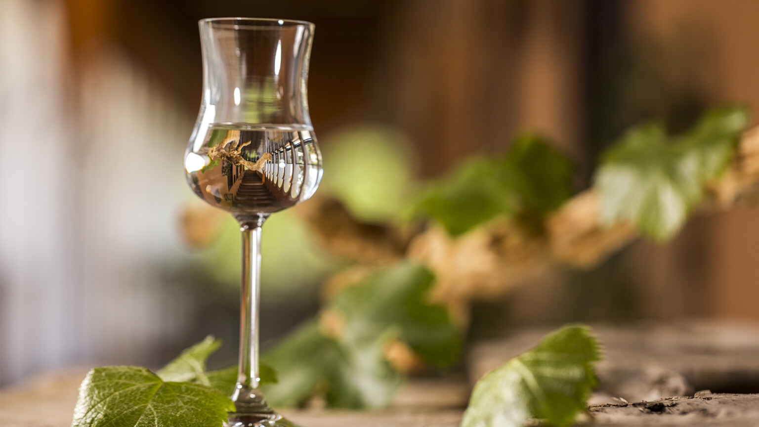 Pisco: El sabor de Perú que conquista paladares ¿Qué es? Tipos y más
