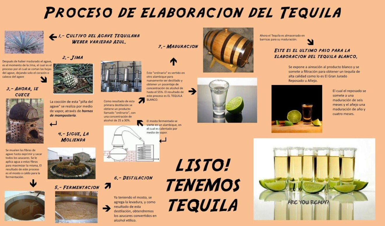 Como é feita a tequila? Como é tirado? (Processo, preparação e mais)