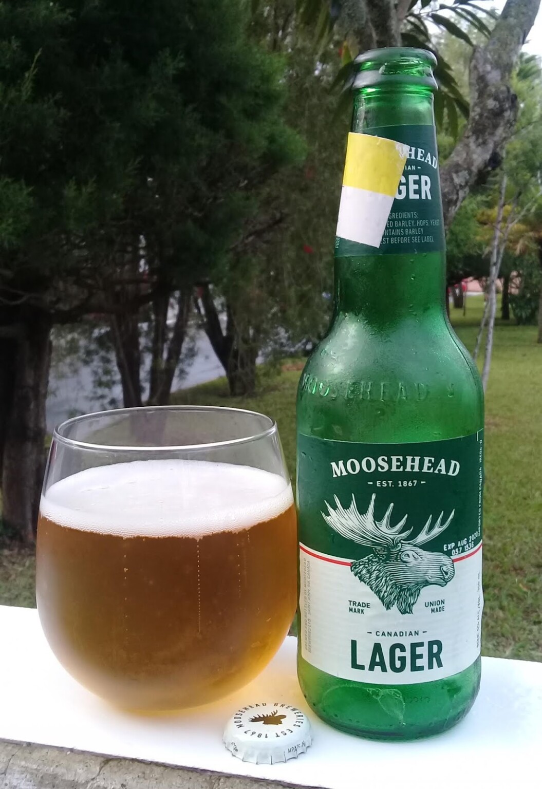 +5 Bebidas canadienses Recetas e ingredientes (Con y sin alcohol) y más