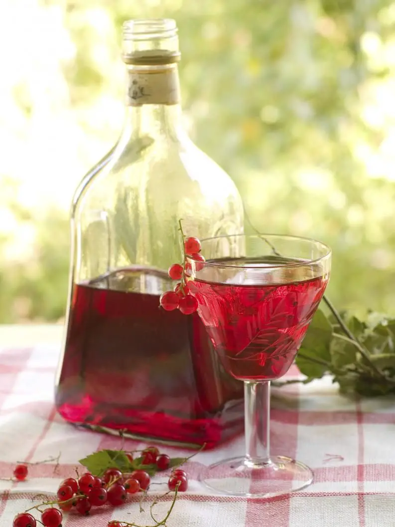 Licor de Frutas Origen, beneficios y más. ¡Receta para hacer en casa!