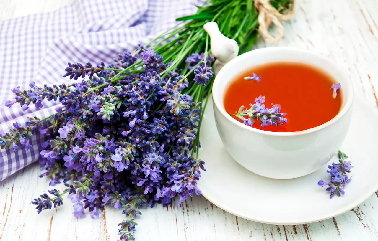 Té de lavanda ¿Cómo preparar? Propiedades, beneficios y más.