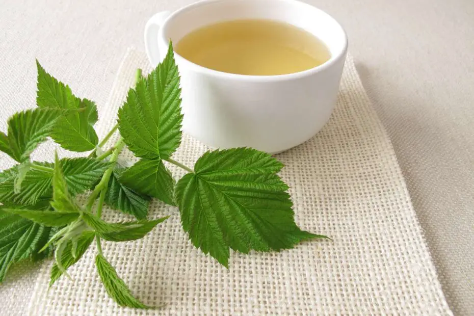 Té de hojas de frambuesa