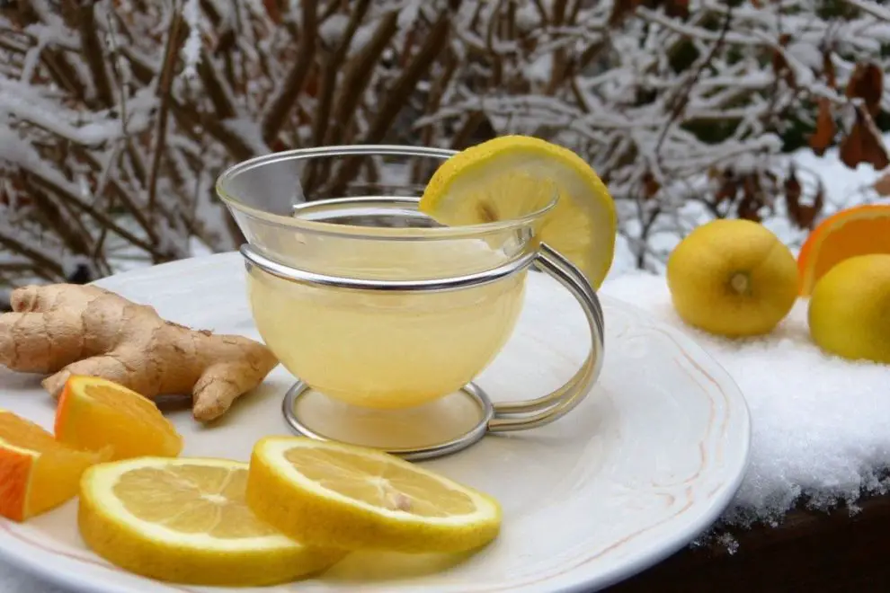 Infusiones de Jengibre y Limón: Un Dúo Dinámico para Aumentar tus Defensas Naturales