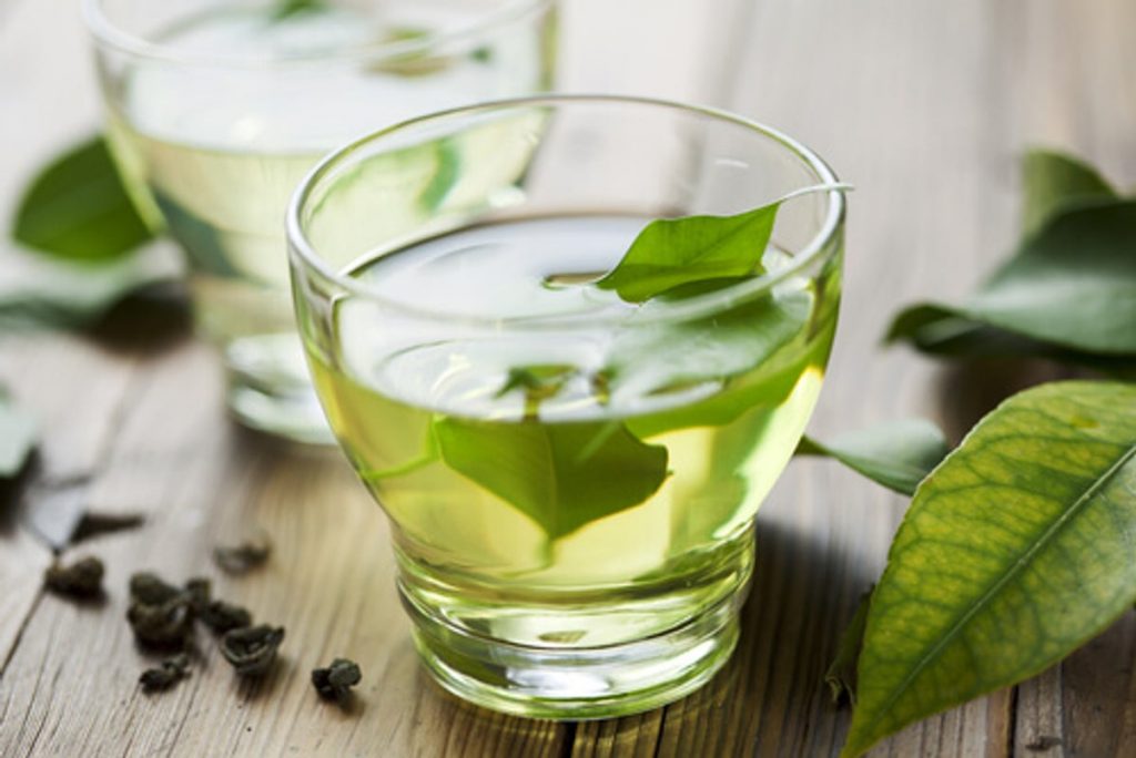 Infusiones de boldo ¡Propiedades digestivas! - (Efectos curativos)
