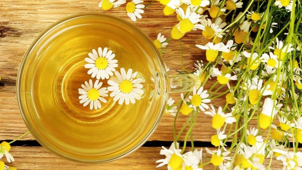 Infusion De Calendula Y Manzanilla +7 Infusiones de manzanilla: propiedades medicinales - ¡Saludable!