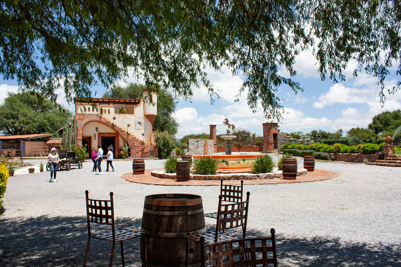 +8 Viñedos de Quéretaro Pasión por el vino ¿Cuales visitar? y más