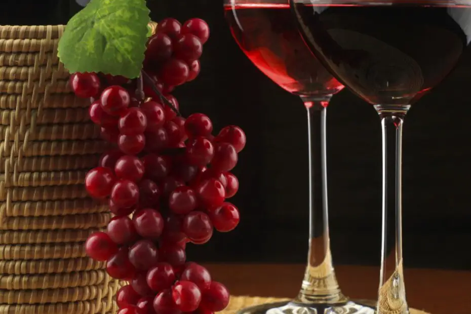 ¿Cómo hacer vino de uva?