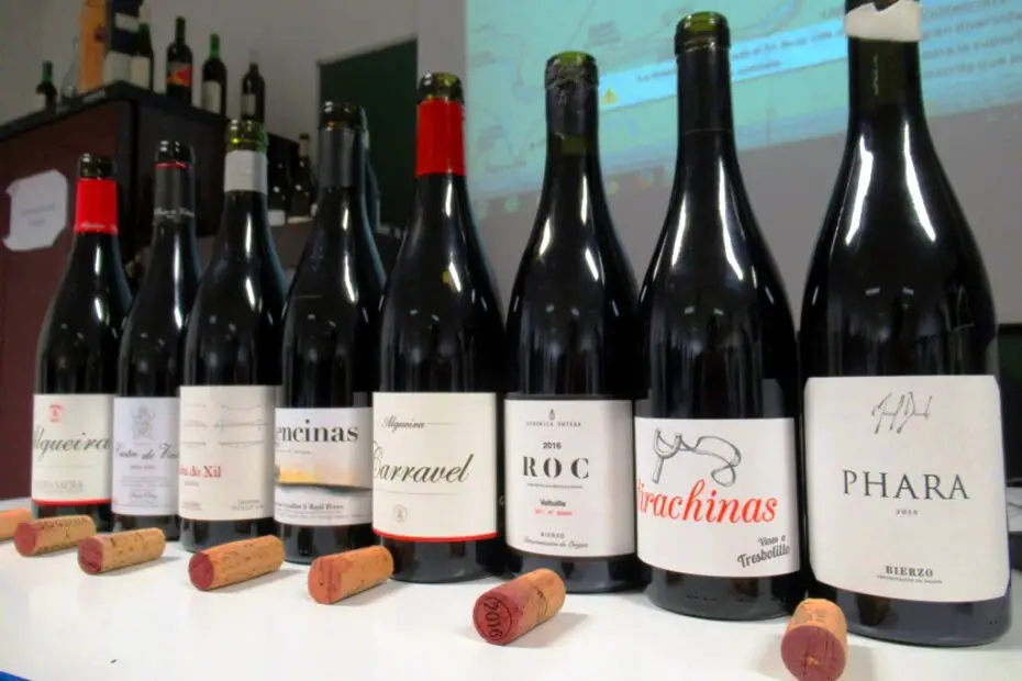 Vinos del bierzo sabor