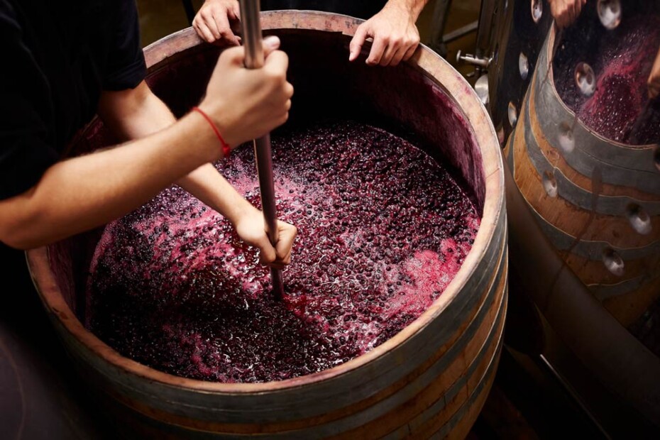 ¿Cómo se hace el vino casero?