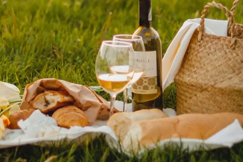 Vinos para tomar en un picnic