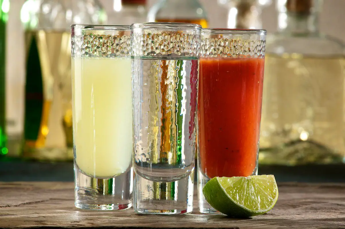 +10 Shot con Tequila ¡Mezclas y Recetas!