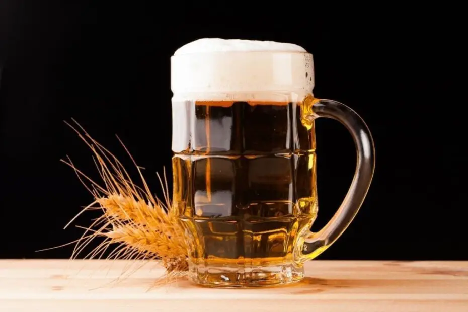 Beer What is it? Benefits properties and more Los Vinos Sitio web Beer What is it? Benefits properties and more Los Vinos Sitio web