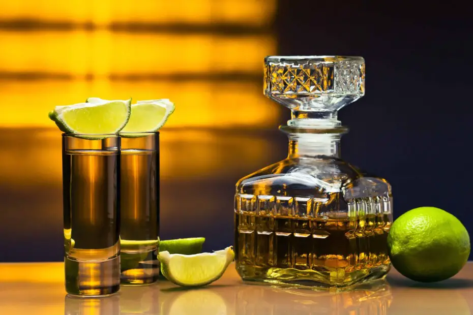 +15 Best tequilas that you can't miss Los Vinos Sitio web para