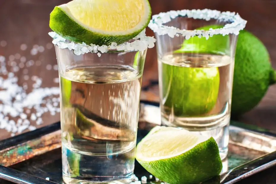 Tequila (Origin, types, properties and benefits) Los Vinos Sitio
