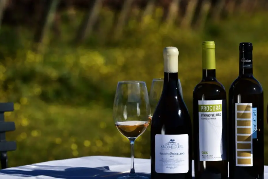 Wines from Portugal Natural flavors of high contrast Los Vinos